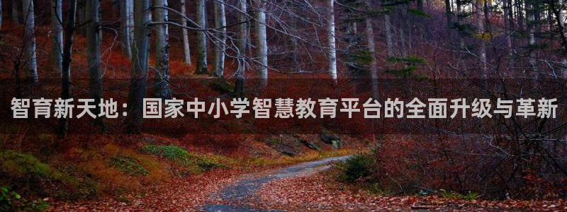 新宝5手机平台登陆