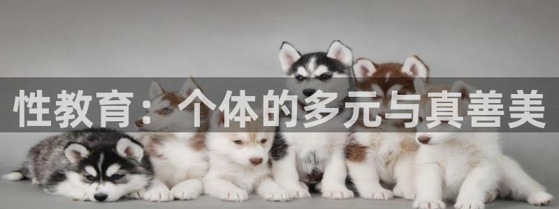 新宝娱乐5