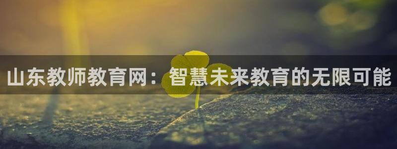 菲律宾新宝5老板