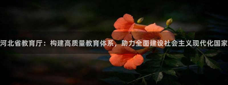 新宝5口67五壹叁八