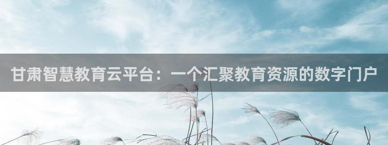 菲律宾新宝5老板