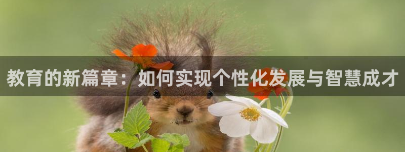 新宝5彩票平台登陆