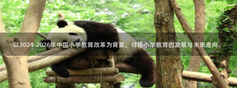 新宝5官网67五壹叁八