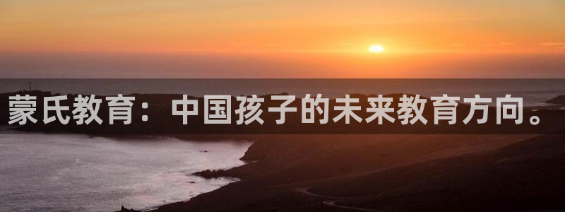 新宝堂新会陈皮5年