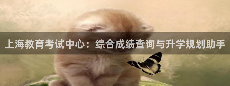 新宝5什么时候上市