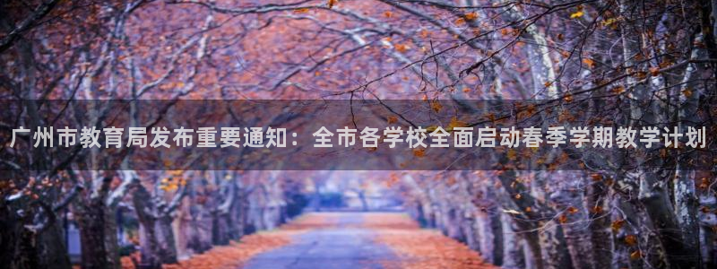 新宝5官网67五壹叁八