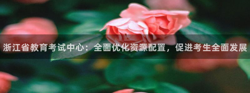 新宝5下载 迅雷下载