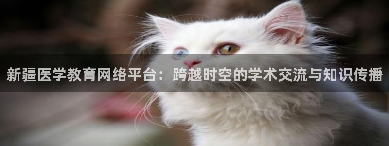 新宝5手机平台登陆