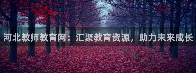 新宝5彩票平台登陆