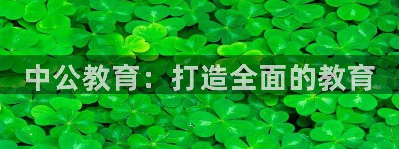 新宝5 - 测速登陆