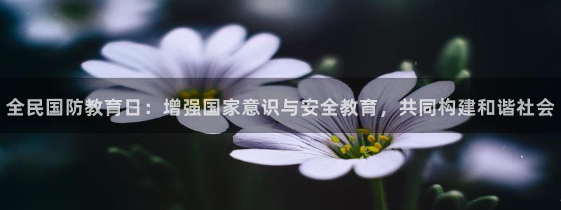 新宝5寂创33300散