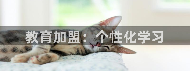 新宝5彩票是正规平台吗