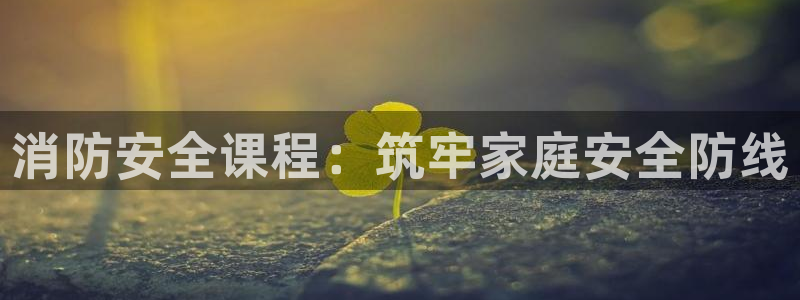 新宝堂新会陈皮5年