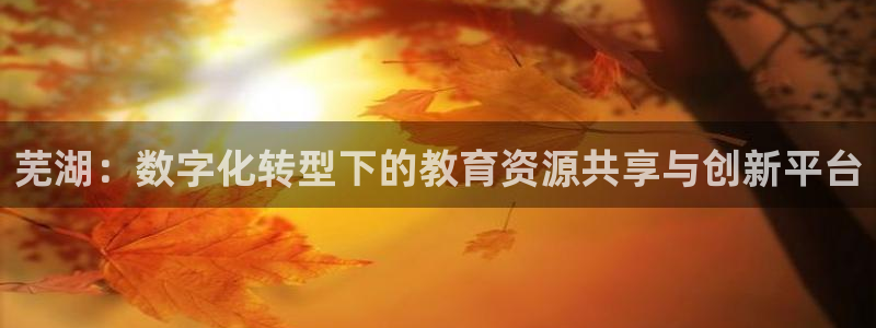 新宝5是什么样子的