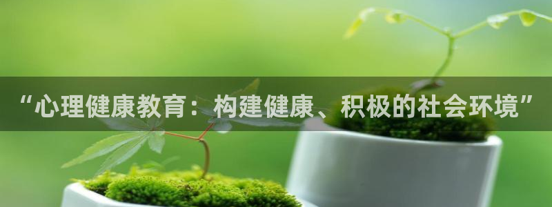 新宝5新宝6顺达