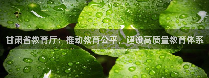 新宝5为啥开