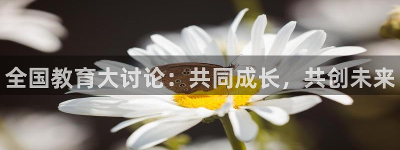 新宝5褚32OO59