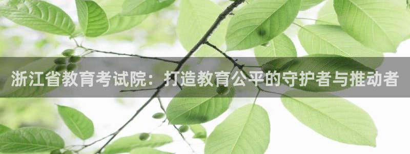 新宝5怎么代理