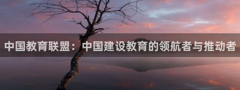 新宝5app