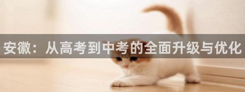 新宝那2O5O5O