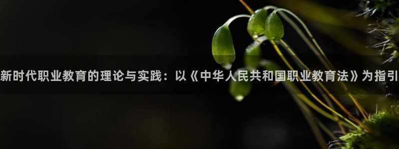新宝5系列