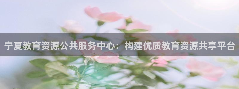 新宝5户端